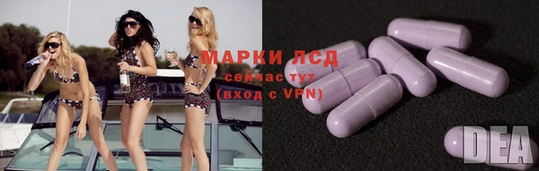 соль ск Алзамай