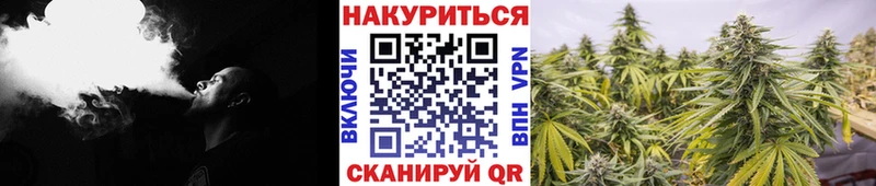 даркнет сайт Сергач shop Telegram Каннабис конопля